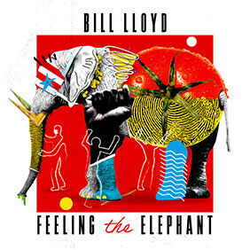 Feeling the Elephant album cover